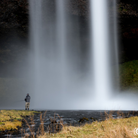 La solitudine del pescatore - Seijalanfoss