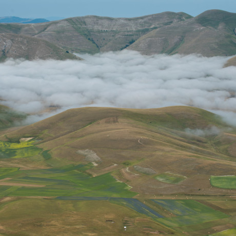 Nebbia nella piana