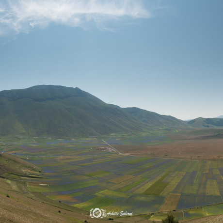 Panoramica della piana